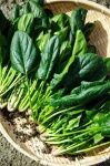 image of fruit_and_vegetable