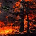 image of wildfire