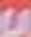 image of char