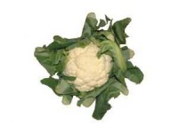 image of cauliflower