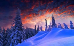 image of snowy