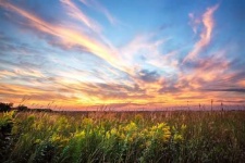 image of prairie