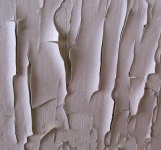 image of texture