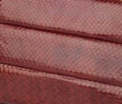 image of texture