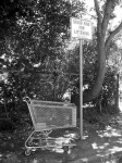 image of shopping_cart