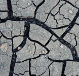 image of texture