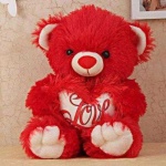 image of teddy_bear