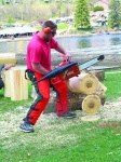 image of chain_saw #12