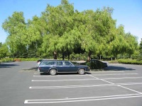image of beach_wagon_car