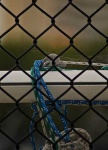 image of chainlink_fence