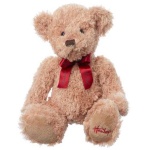 image of teddy_bear