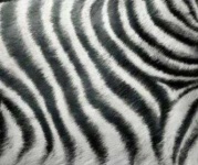 image of texture