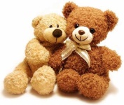 image of teddy_bear