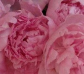 image of texture