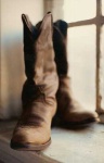 image of cowboy_boot