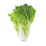 image of cabbage #24