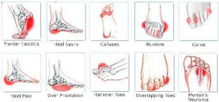 image of human_body_parts