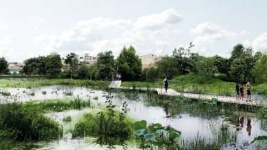 image of wetland