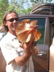 image of frilled_lizard