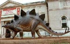 image of stegosaurus