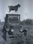 image of model_t_car