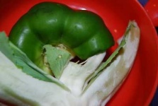 image of bell_pepper #24