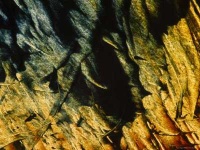 image of texture