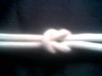 image of knot