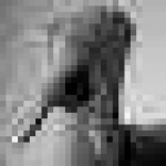 image of sign_language