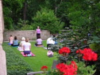 image of garden