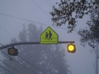 image of traffic_light