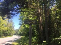 image of pond