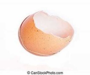 image of egg_shell #10