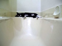image of bathtub