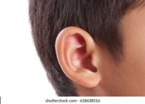image of ear