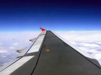 image of wing