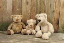 image of teddy_bear