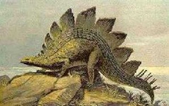 image of stegosaurus