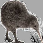 image of bird