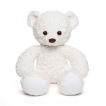 image of teddy_bear
