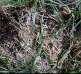 image of texture