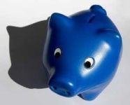 image of piggy_bank #16