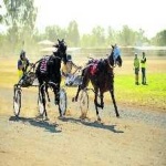 image of harness_racing #23