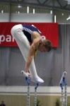 image of parallel_bars