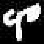 image of amharic