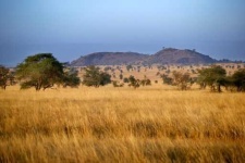 image of grassland