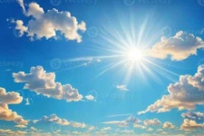 image of sunny