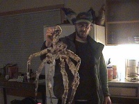 image of king_crab #1