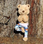 image of teddy_bear