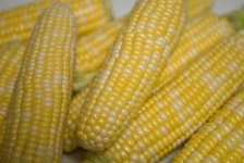 image of fruit_and_vegetable